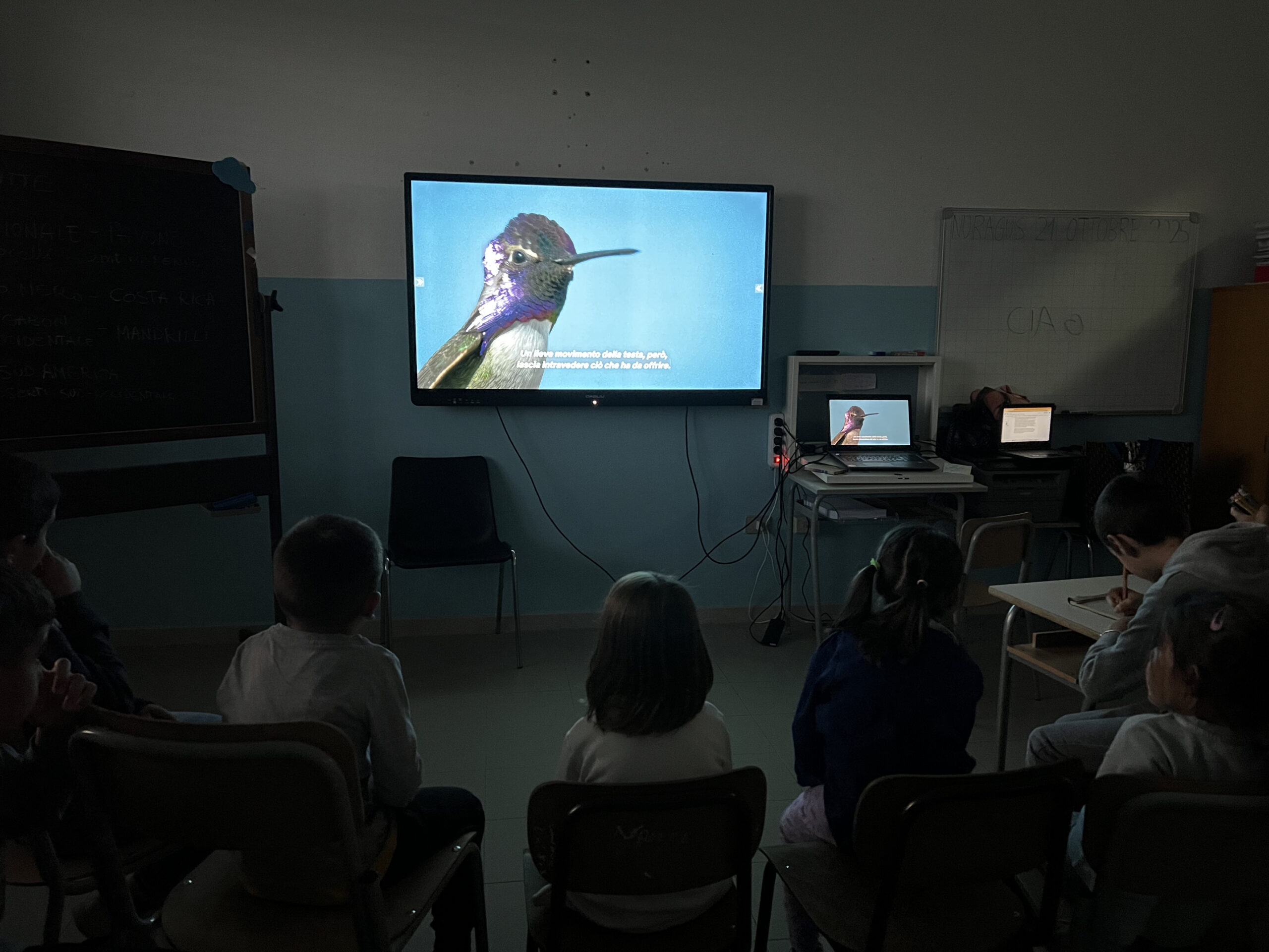 🌈 Animali a Colori: L’IA come ponte tra la classe 1ª e la 5ª